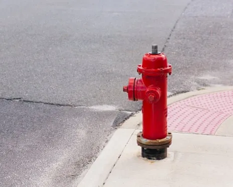 During 2009, Which famous figure Crashed a Cadillac Escalade Into a Water Plug?