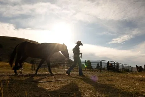 Discover the US Cowgirls Redefining Modern Ranching