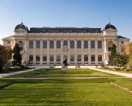 Historic Gold Pieces Taken in Bold Heist at France's National Museum