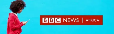 Armed attackers murder 22 following opening fire at christening gathering in Niger - accounts
