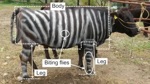 Striped Cattle and Teflon Food Claim Tongue-in-Cheek Academic Prizes