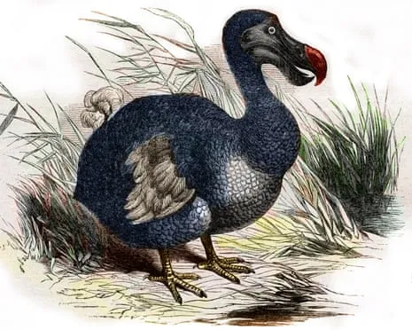 Researchers Claim They Have Achieved a ‘Major Breakthrough’ in Reviving the Extinct Bird for the Initial Instance in Multiple Generations