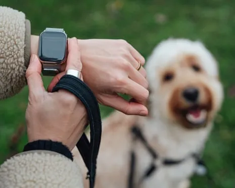 The Reality Regarding Fitness Trackers? Daily Existence Is Better Without a Bossy Gadget on Your Wristwear